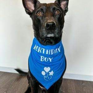 Birthday Boy Bandana